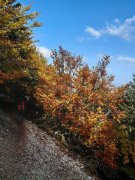 191014_Ventoux040A.jpg