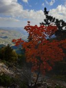 191014_Ventoux041A.jpg