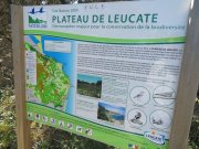 190318_Leucate012.jpg